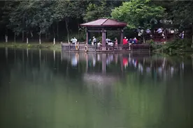 广州新增一森林公园图片