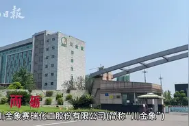 风雨同舟 携手共行图片