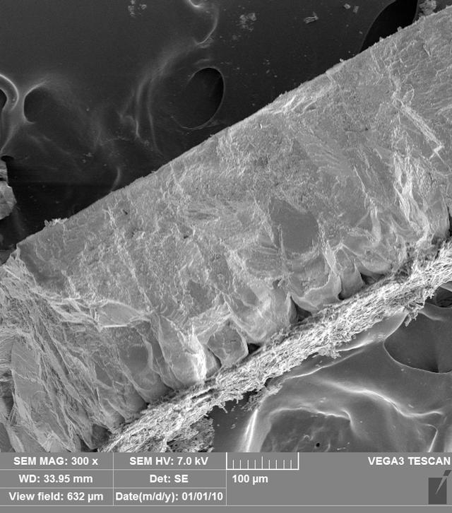 朱博文︱当考古学家发现了一枚蛋，他可以做些什么