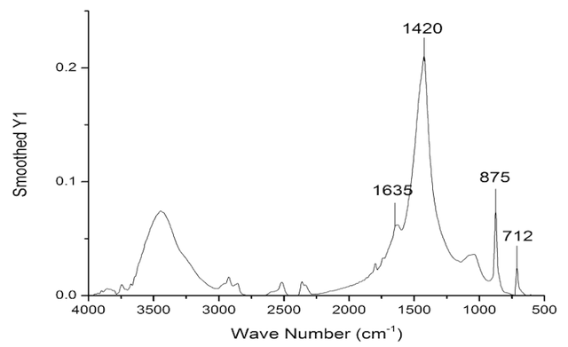朱博文︱当考古学家发现了一枚蛋，他可以做些什么