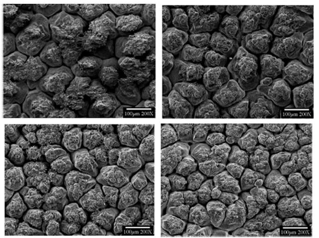 朱博文︱当考古学家发现了一枚蛋，他可以做些什么