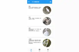 校园里流浪猫不少！上大的几位同学想为它们做点什么，于是合力开发了这款APP图片