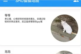 校园里流浪猫不少！上大的几位同学想为它们做点什么，于是合力开发了这款APP图片