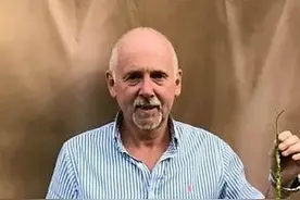 62岁老人种出英国最长辣椒：长约半米 由绿到红渐变图片