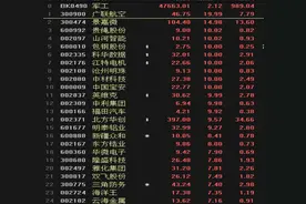 军工股要起飞 张忆东：很像前两年的新能源车图片