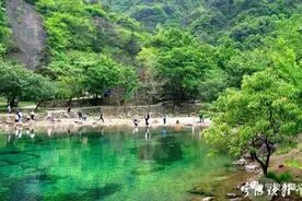 预约！限流！取消！宁波各大景区接连发布防疫新举措图片