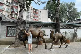 京西古道龙王庙广场即将亮相，骆驼雕塑、驼铃灯再现“驼铃声声”图片