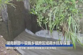 湖南新邵：实施乡镇跨区域调水抗旱保苗视频封面