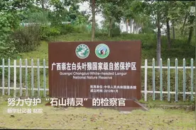 努力守护“石山精灵”的检察官视频封面