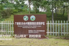 努力守护“石山精灵”的检察官视频封面