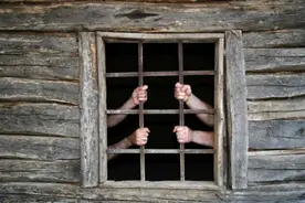 10年前盗伐林木？“曹园”事件举报人张学成被拘，曾导致74名干部被问责图片