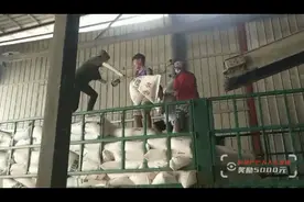 13岁少年扛面粉支援新乡，满头大汗不放弃：流点汗受点累，比打游戏强图片