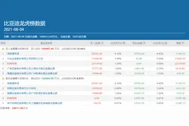 豪掷3.16亿再战比亚迪，知名游资方新侠对新能源汽车爱不完图片