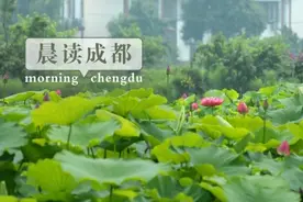 晨读成都 | 四川大学华西口腔医院开通夜间门诊图片