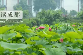 晨读成都 | 四川大学华西口腔医院开通夜间门诊图片