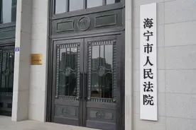「法庭故事」杭州阿姨海宁买房遇尴尬，多亏法官解困图片