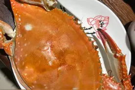 一大波螃蟹上市！开海了？10元一斤？记者探访日照海鲜市场图片