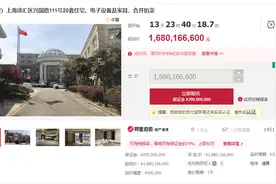 资本大佬叶简明旗下上海豪宅继续拍卖 这次有20套16.8亿元起拍图片