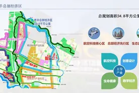 安家成都，这五大热门板块了解一下！|封面天天见·行业观察图片