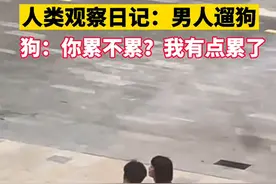 男子与女生聊天过于投入，遛狗变”拎狗“，网友：心疼狗子图片