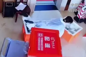 隔离点女护士抱配送箱摔倒后，同事发现她自己偷偷揉腿抹泪图片