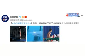 厉害！全红婵再次全十分图片