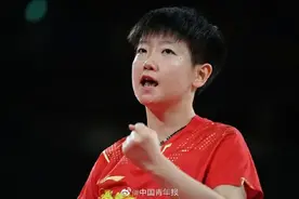 莎气藤藤、霏比寻常，这届奥运会我学了好多新成语……图片