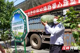 张家界：他们，用实际行动支援疫情防控工作……图片