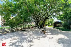 颜值飙升！福州这个“老牌”公园大变样！「区县头条」图片
