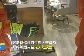 蝙蝠飞进居民家中引恐慌 消防及时妥当处理图片