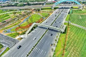 道路沿线皆风景！白云大道太和段完成整治提升，开启“美颜模式”图片