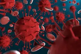 认识“德尔塔毒株”！它与“新冠病毒”有啥不同？日常如何做好防疫？图片