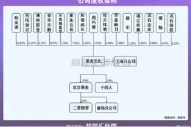 果麦文化，网红文鼻祖难逃过气噩梦图片