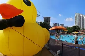 全民健身日免费优惠体育场馆限流开放，提前预约图片