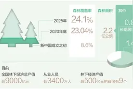 森林覆盖率将提高到24.1%——生态安全屏障更加牢固图片
