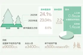森林覆盖率将提高到24.1%——生态安全屏障更加牢固图片