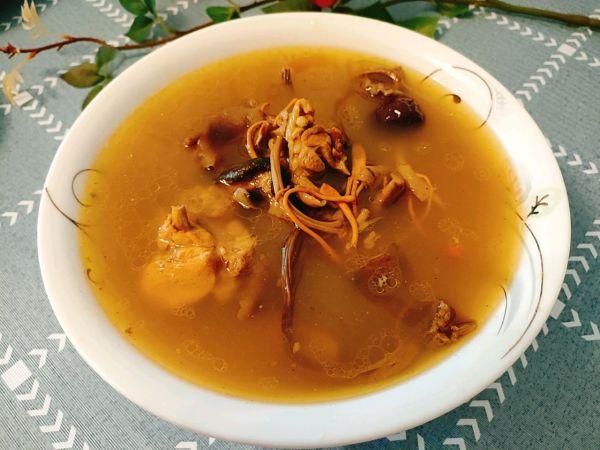 茶树菇花胶炖鸡汤的做法大全 2026年茶树菇花胶炖鸡汤的做法大全视频