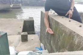 上海一农村因台风内涝三天靠潜水员堵管道，河水倒灌隐患如何解？图片