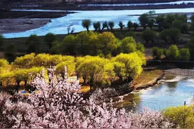 旅游目的地列入中高风险怎么办？文旅部：未出发旅游团须取消或更改行程图片