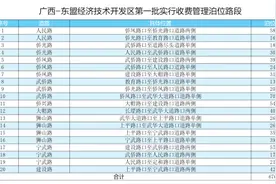注意啦！8月16日起，南宁这些路段停车位开始收费图片