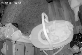 温柔又可爱！英国一只杜宾犬给小婴儿送去自己最爱的玩具图片