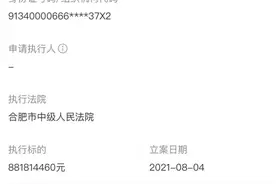 安徽地矿投资集团成为被执行人，执行标的近9亿图片