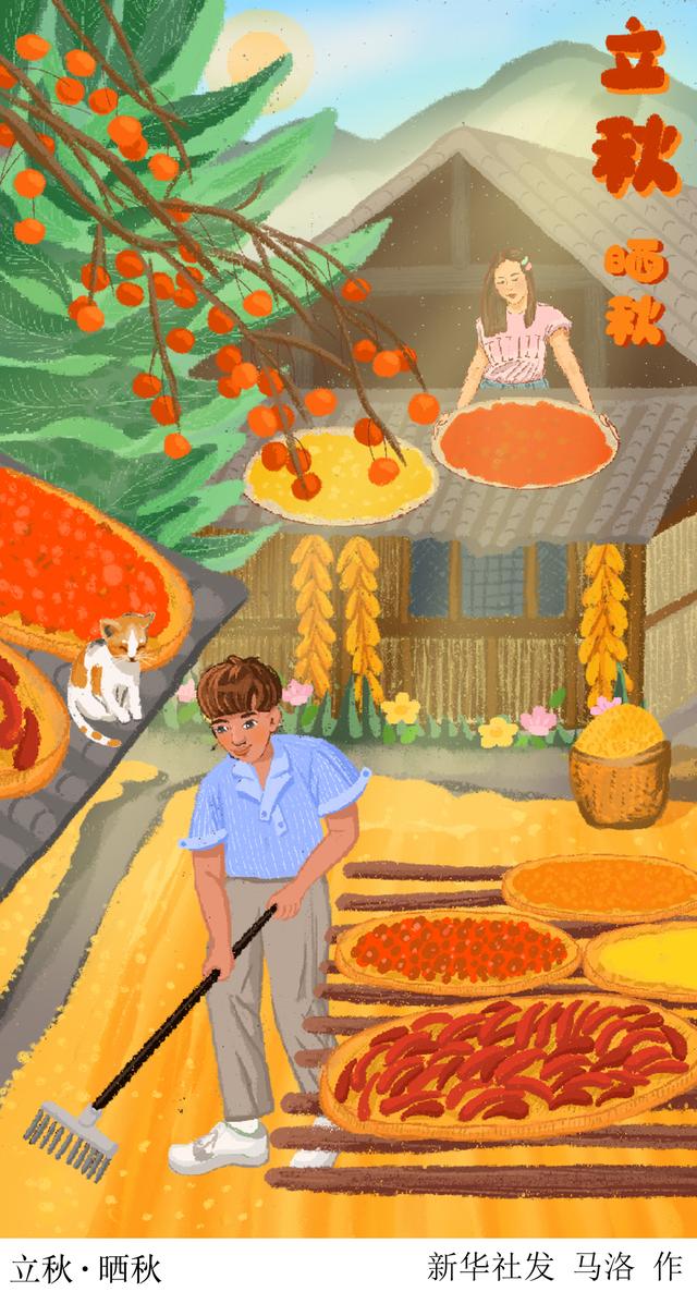 新华社表,北京,2021年8月6日插画:立秋·晒秋《2021年中国天文年历》