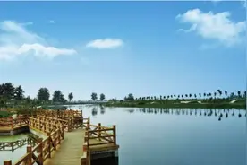 单桂芬专栏｜运河湿地 古城之睛图片