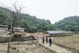 持牌消金优势在哪？听马上消费讲述“碳中和”和数字普惠科技之路图片