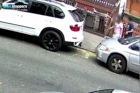 光天化日之下纽约一名歹徒抓住遛狗女子 扯下脖子上项链后逃走图片