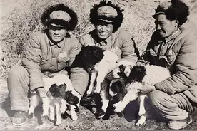 父亲母亲的莫河情怀图片