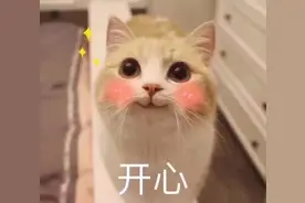 网上订房间还是直接给酒店打电话订，哪个更便宜？图片