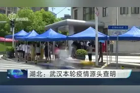 湖北：武汉本轮疫情源头查明视频封面