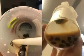 奈雪的茶“喝完见底发现苍蝇”涉事门店负责人称“不知情”仍正常营业图片